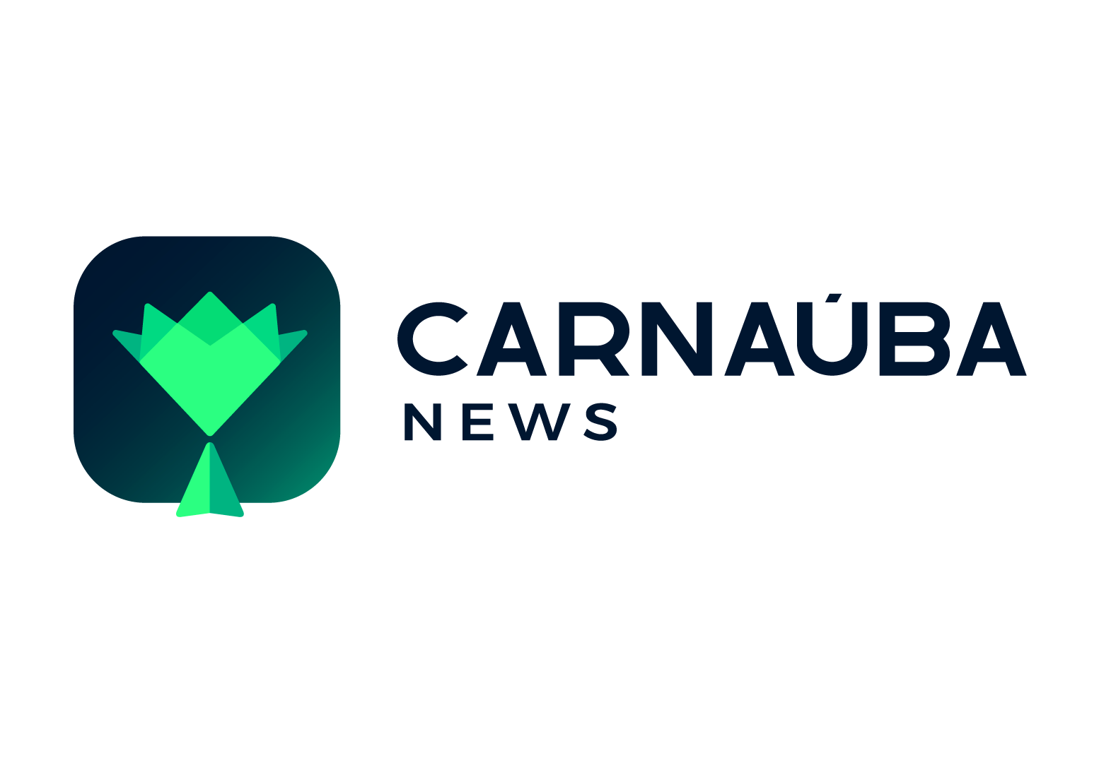 Carnauba News